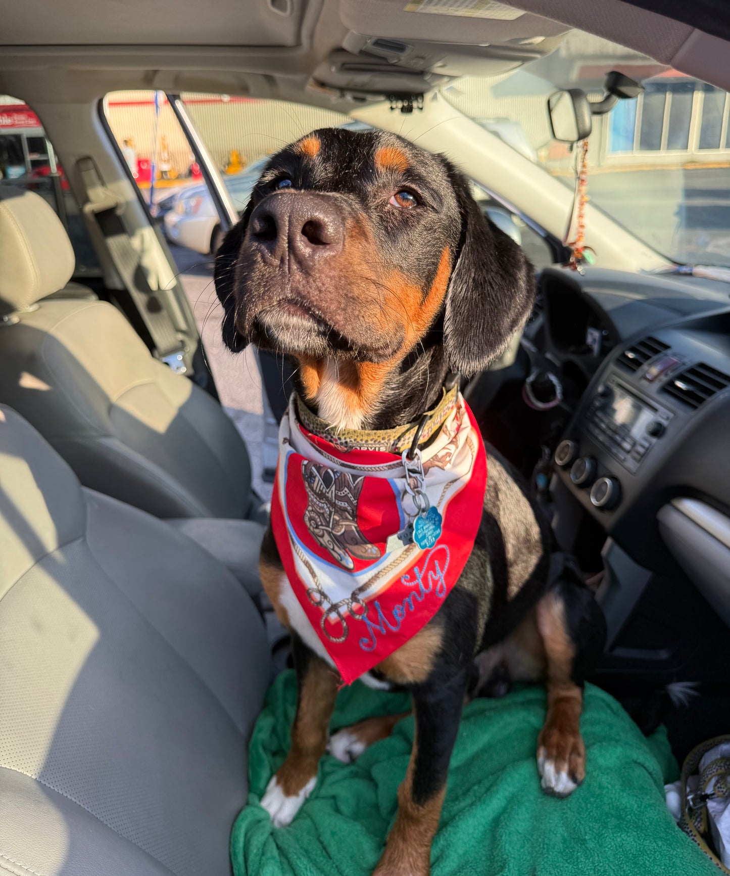 Custom Chainstitched Bandana