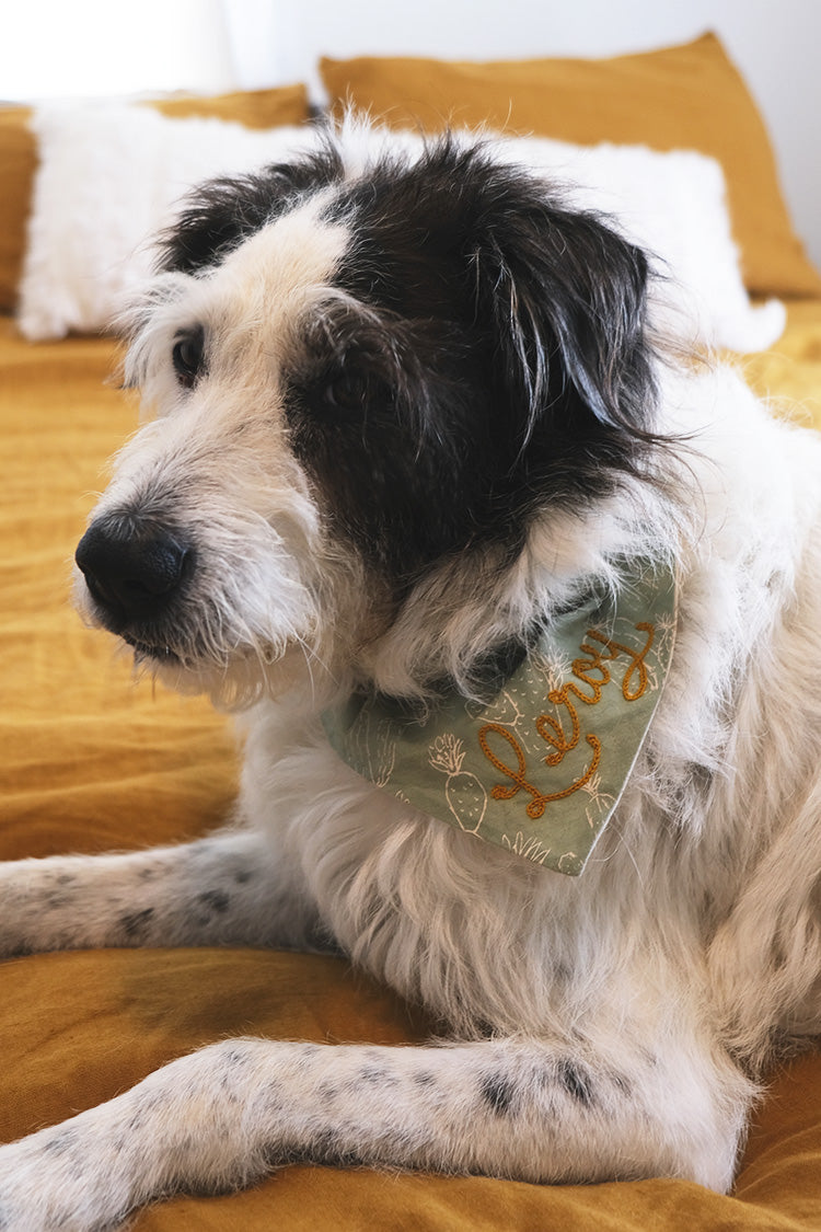 Custom Chainstitched Pet Collar Bandana