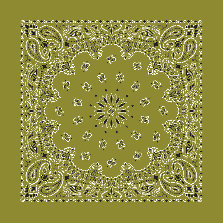 Custom Chainstitched Paisley Bandana