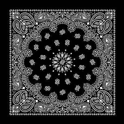 Custom Chainstitch Paisley Bandana