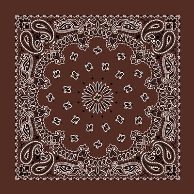 Custom Chainstitch Paisley Bandana