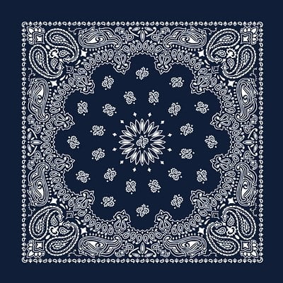 Custom Chainstitch Paisley Bandana