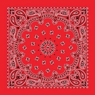 Custom Chainstitch Paisley Bandana