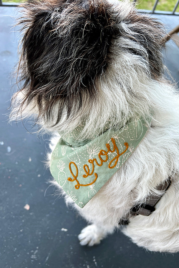 Custom Chainstitched Pet Collar Bandana