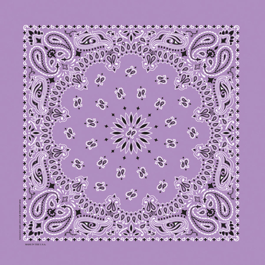 Custom Chainstitched Paisley Bandana