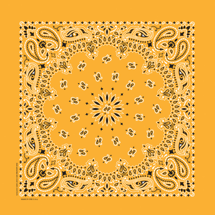 Custom Chainstitched Paisley Bandana