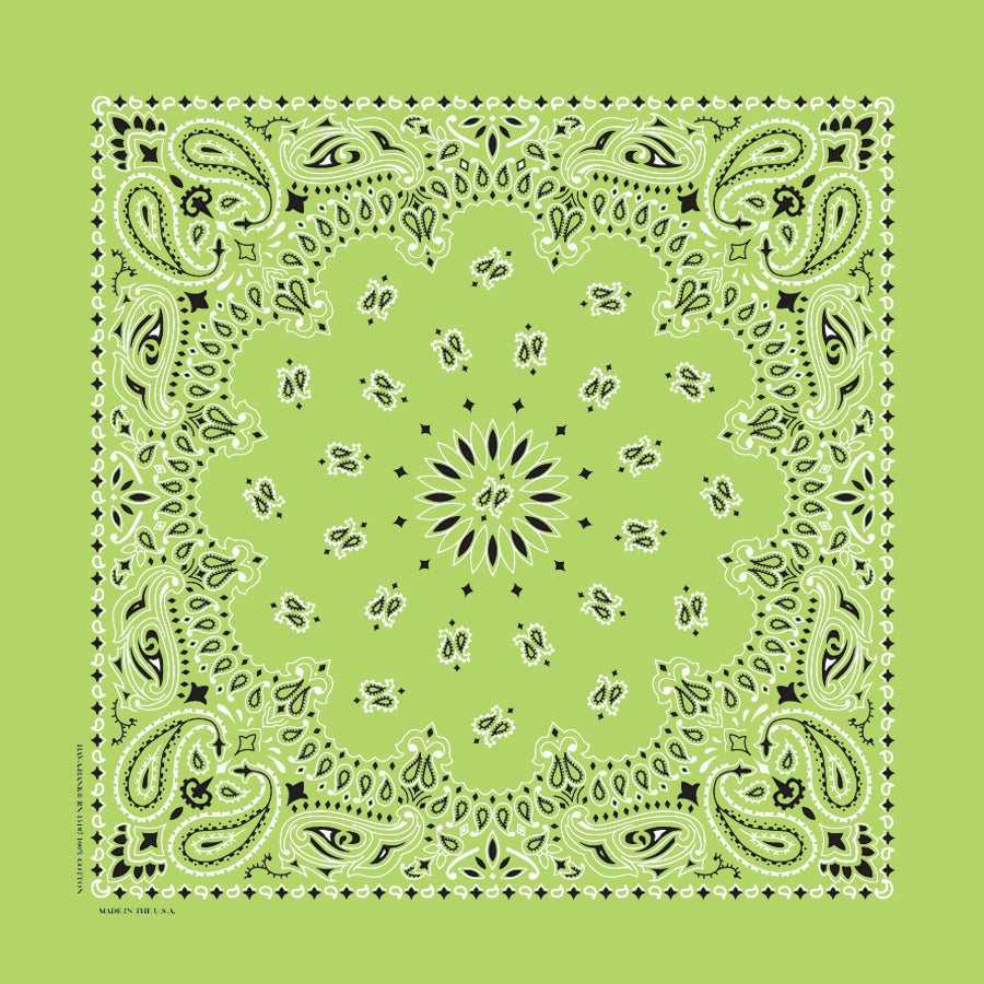 Custom Chainstitched Paisley Bandana