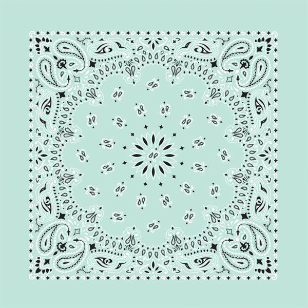 Custom Chainstitched Paisley Bandana