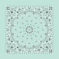 Custom Chainstitched Paisley Bandana